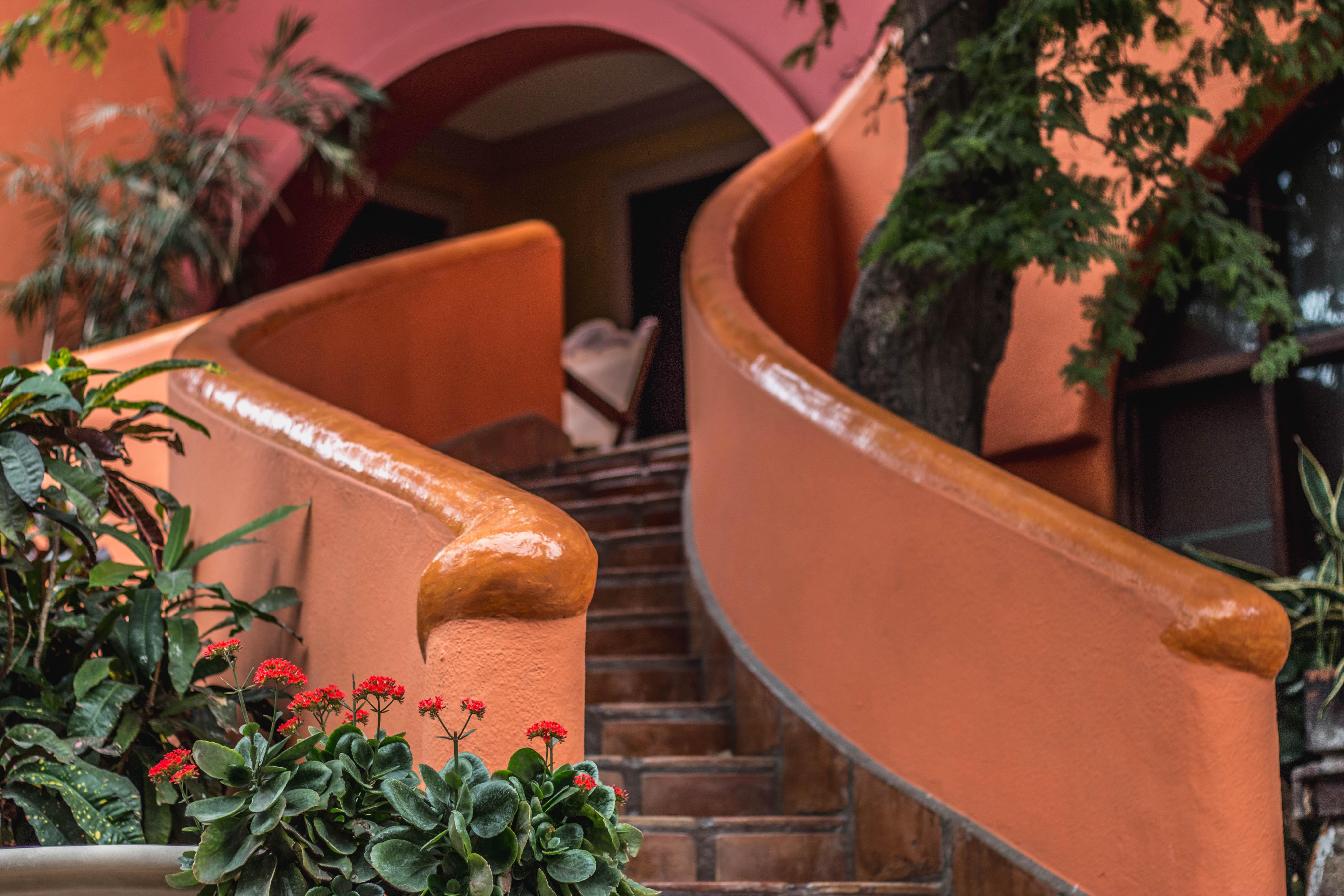 Collection O Casa Bella Hotel Boutique, Cabo San Lucas Dış mekan fotoğraf