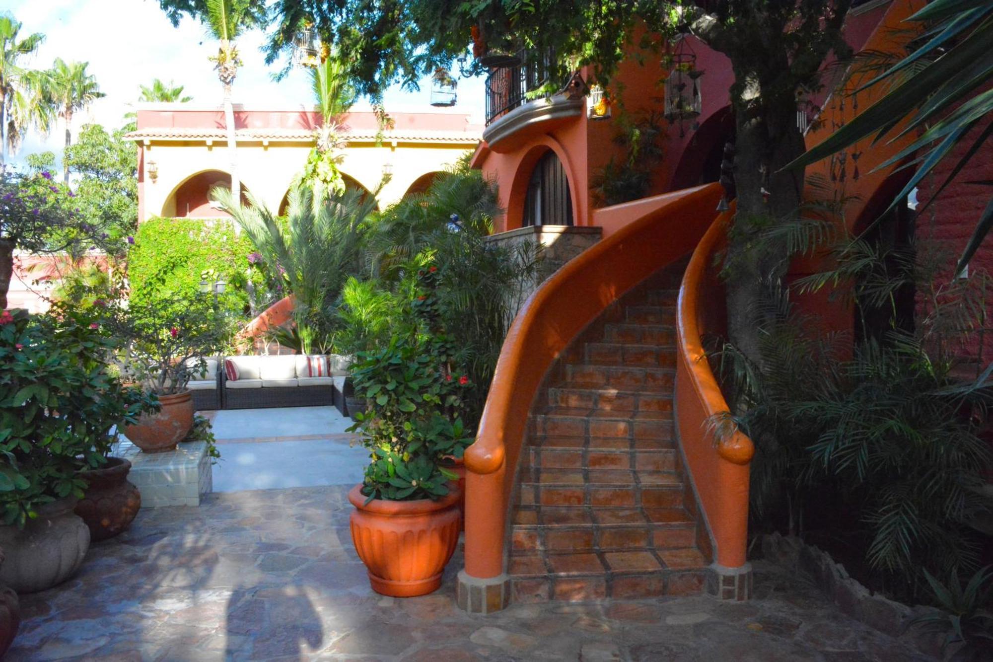 Collection O Casa Bella Hotel Boutique, Cabo San Lucas Dış mekan fotoğraf